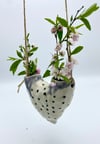 Hanging Bud Vase 