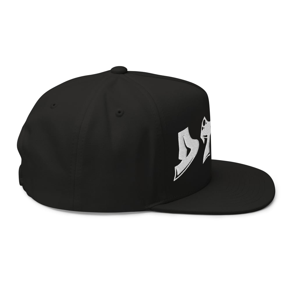 DTMA SNAPBACK