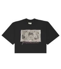 Image 1 of Women CROP TOP Fallen Angel TEe