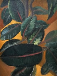 Image 3 of Small Plant Pieces