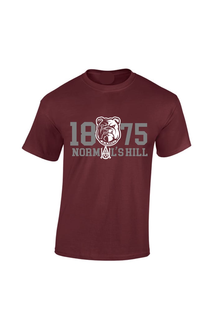 Image of Homecoming 1875 - Maroon