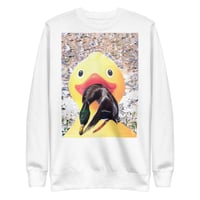 Image 2 of Ducking around