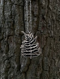 Image 2 of Fern Charm