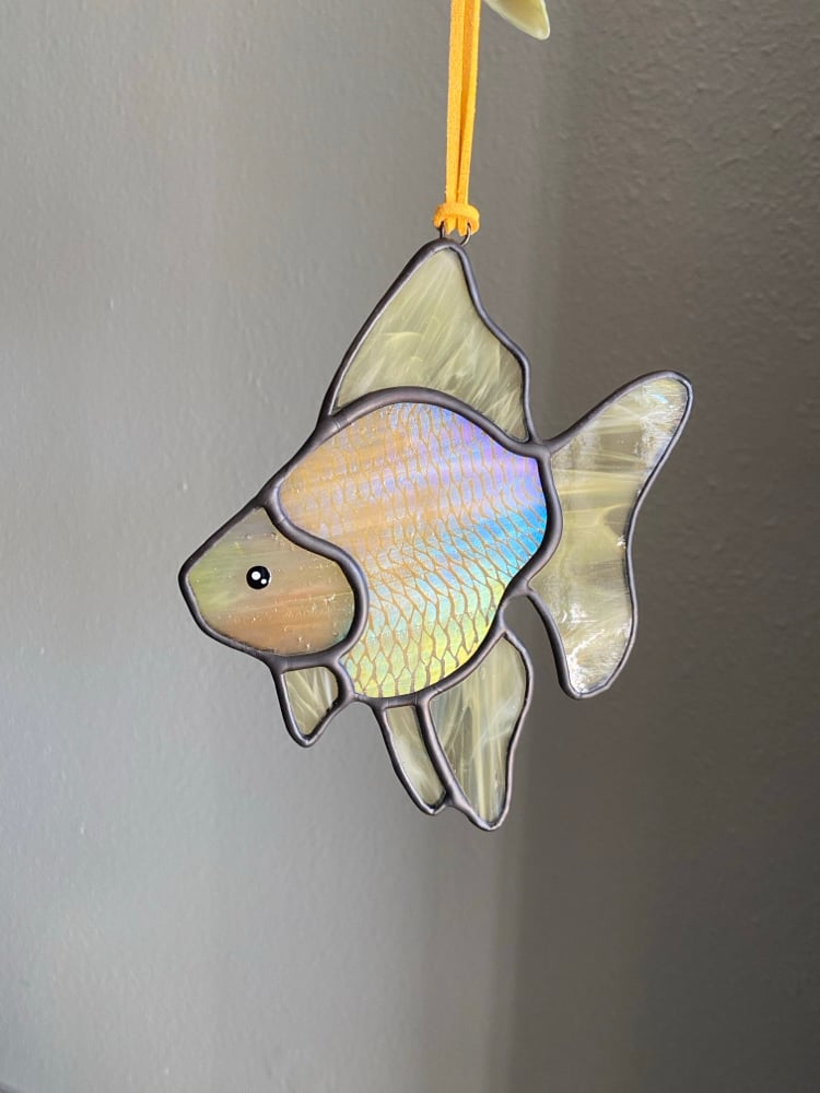 Image of GOLD Ryukin Goldfish