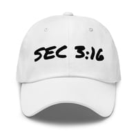 Image 2 of SEC 3:16 hat