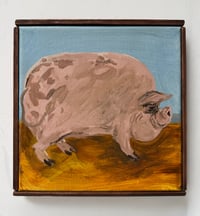 Small prize pig