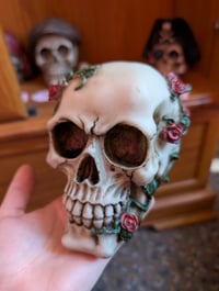 Image 2 of 🌙💀Decorative Skull Collection 💀🌙