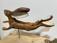 Image 8 of Steady On- Julie Kradel