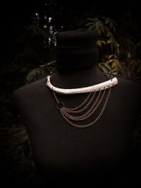 Image 3 of rib and chain