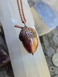 Image 1 of Electroformed Swamp Chestnut Oak acorn necklace 01