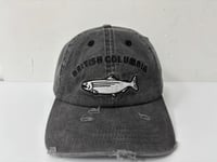 Image 2 of THE FRASER RIVER