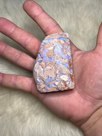 Image 9 of Boulder Opal #2409