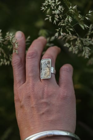 Image of Deep forest ring