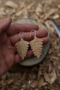 Image 2 of Forest Fern earrings 
