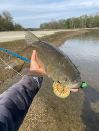 Image 5 of Grassie Confetti 