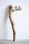 Hudson Driftwood Seagull Sculpture