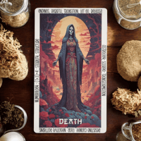 Image 4 of THE COSMIC COVE TAROT PREORDER 