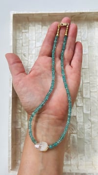 Image 1 of *new* APATITE PETITE SHORTY