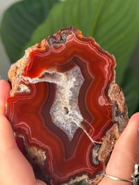 Image 3 of BRIGHT RED DOUBLE SIDED LAGUNA AGATE SLICE M