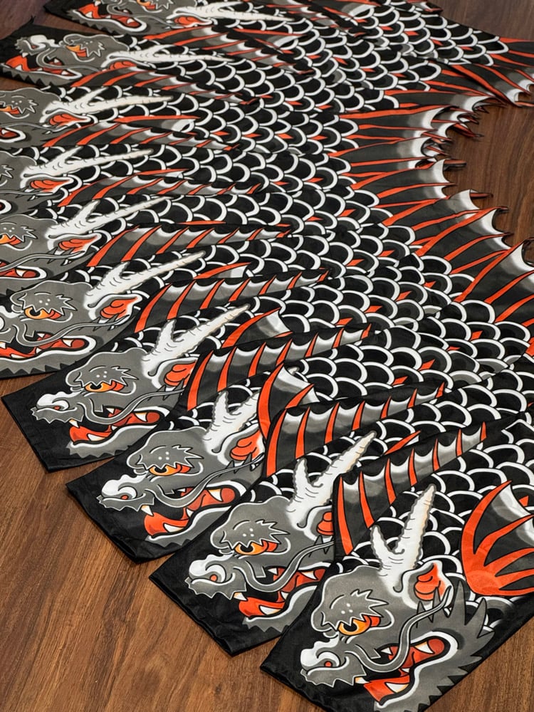 Image of KOINOBORI