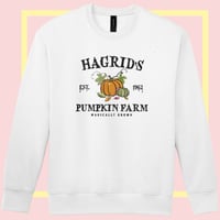 Image 2 of Hagrid's Pumpkin Farm
