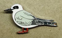 Image 2 of Forster's Tern - August 2021 - UK Birding - Enamel Pin Badge