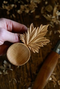 Image 4 of   Maple Leaf Coffee Scoop