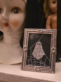 Image 1 of 1800’s biblical Ghost with preserved spider web -6