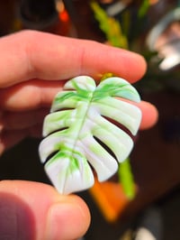 Image 1 of Variegated monstera leaf pendant 