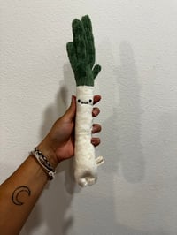 Image 1 of Spring onion (each sold separately)