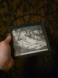 Image 2 of “Lion and The Ass" 1800's bible page with preserved spider web
