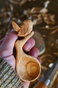 Image 2 of Jenny wren Bird Scoop
