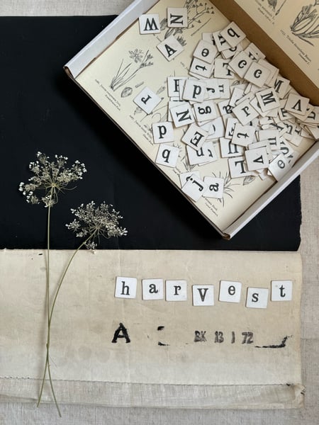 Image of Word making vintage letter tiles in decorative box #3