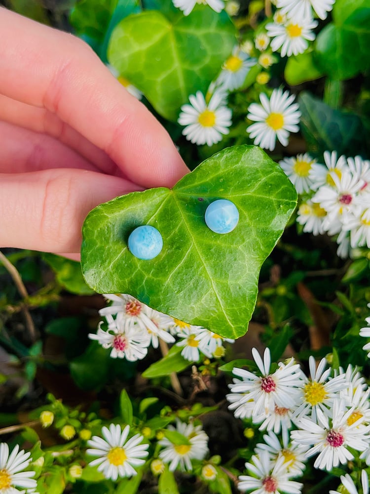 Image of Larimar Silver Studs