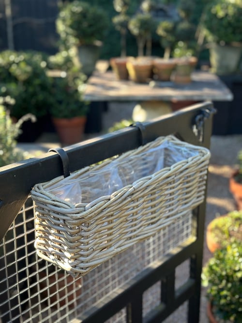 Image of Harolds Signature Hanging Rattan Planter