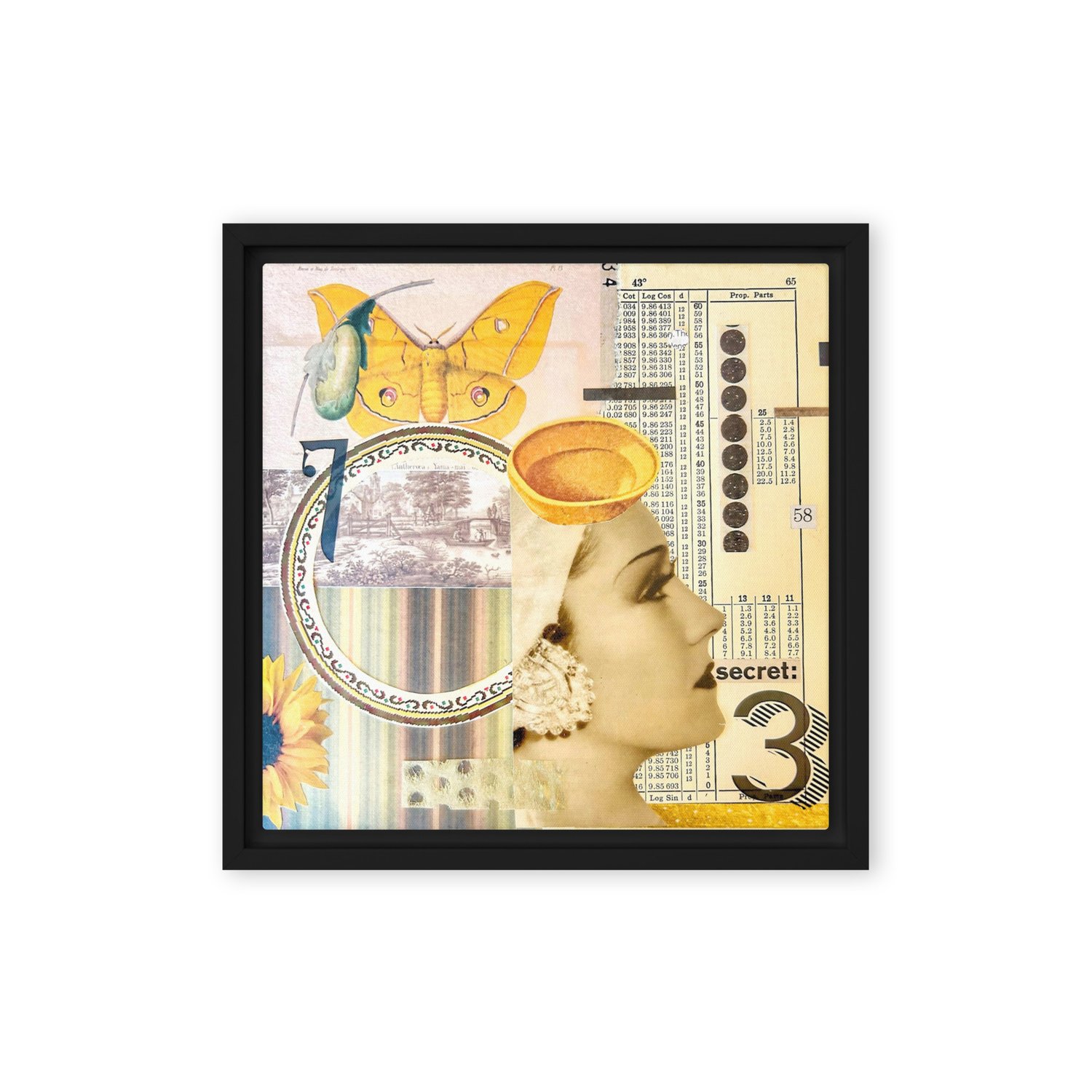 Image of FREE SHIPPING - The Secret Language of Numbers - 12x12 - Framed Canvas