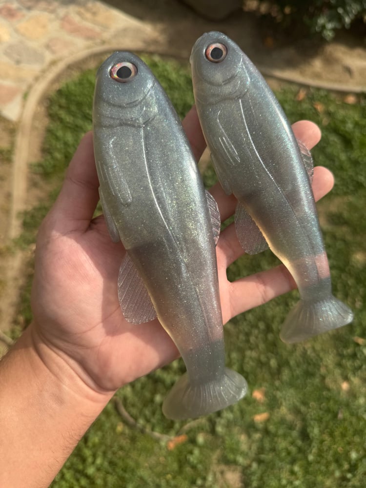 Roma Trout - Flashy Shad - Image 4