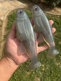 Image 4 of Roma Trout - Flashy Shad