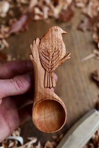 Image 6 of Robin~ Coffee Scoop