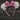 Park Snacks Mouse Ears 