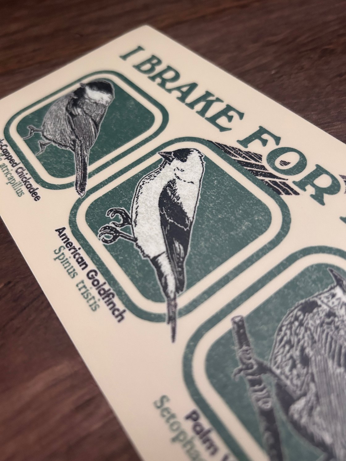 Image of I Brake for Birds 7.5” x 3.75” bumper sticker