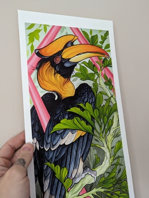 Image of Great hornbill standard. 