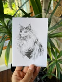 Image 4 of Cat Trio Greeting Card Pack