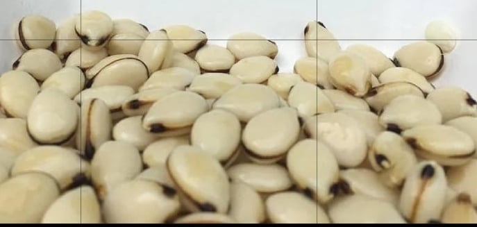 MELON SEED POWDERS. Hormones-Erectile Dysfunction-Arthritis-Bones-Prostate-Diabetes-Cholesterol