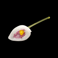 Image 2 of Glass Lily Art Glass