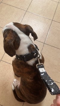 Image 4 of Traffic Lead - Short Lead