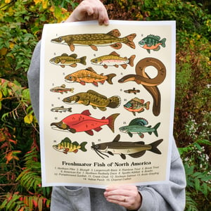 Freshwater Fish Giclée Poster *PREORDER*