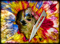 Image 7 of PeriWinK CoasTerS (set of 2)