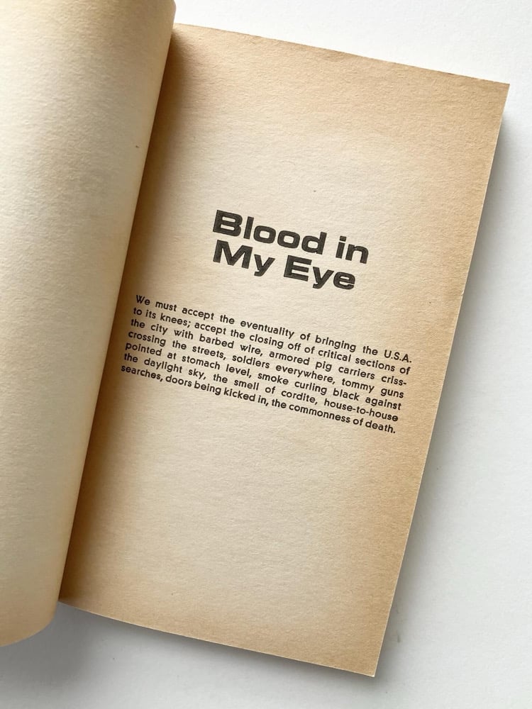Blood in My Eye Image 3