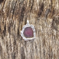 Image 3 of Ruby Peacock